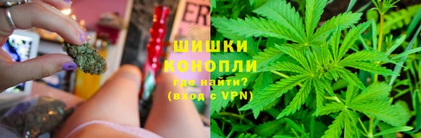 шишки Нягань
